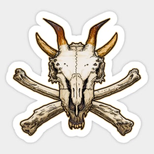 Dragon Skull and Bones Sticker